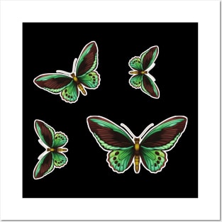 Colorful Butterfly , Cute Light Butterflies Gift Idea Posters and Art
